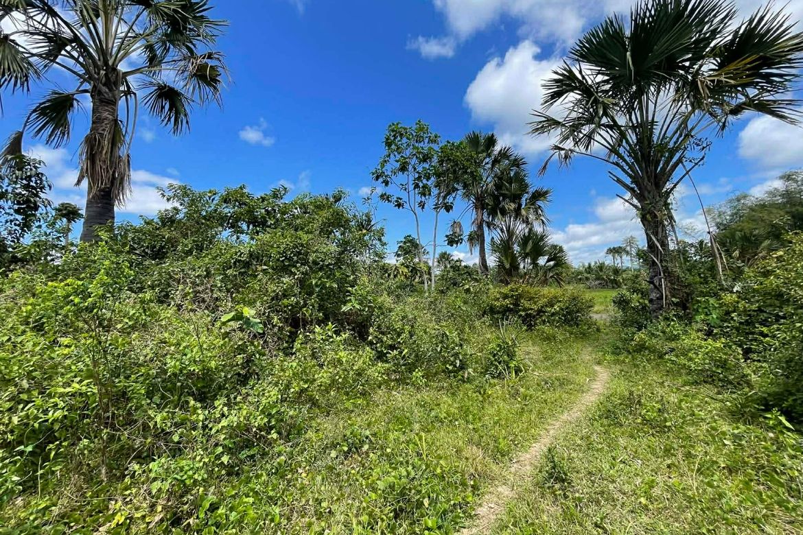 Land for Sale in Mayao Silangan, Lucena, Quezon – photo 6