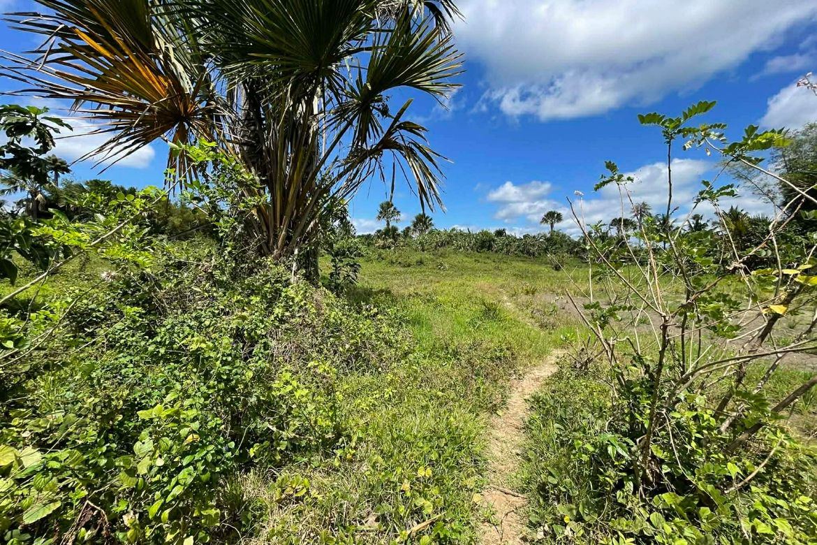 Land for Sale in Mayao Silangan, Lucena, Quezon – photo 8