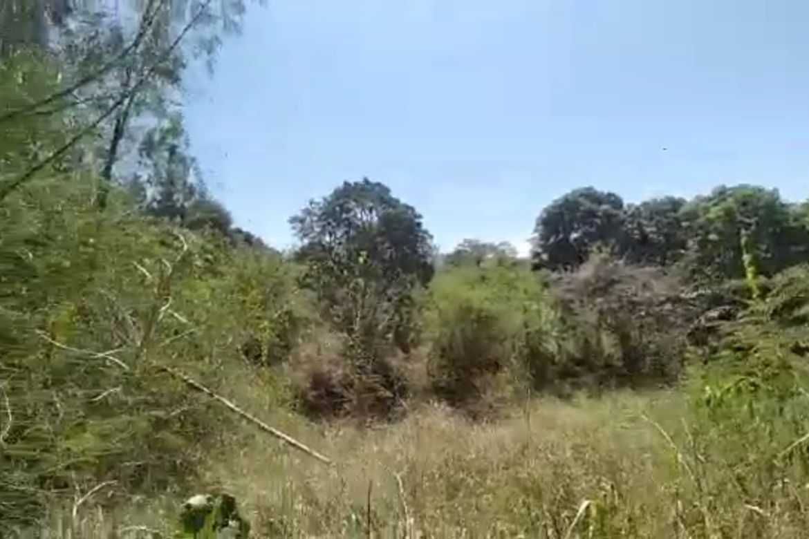 Land for Sale in Maybancal, Morong, Rizal