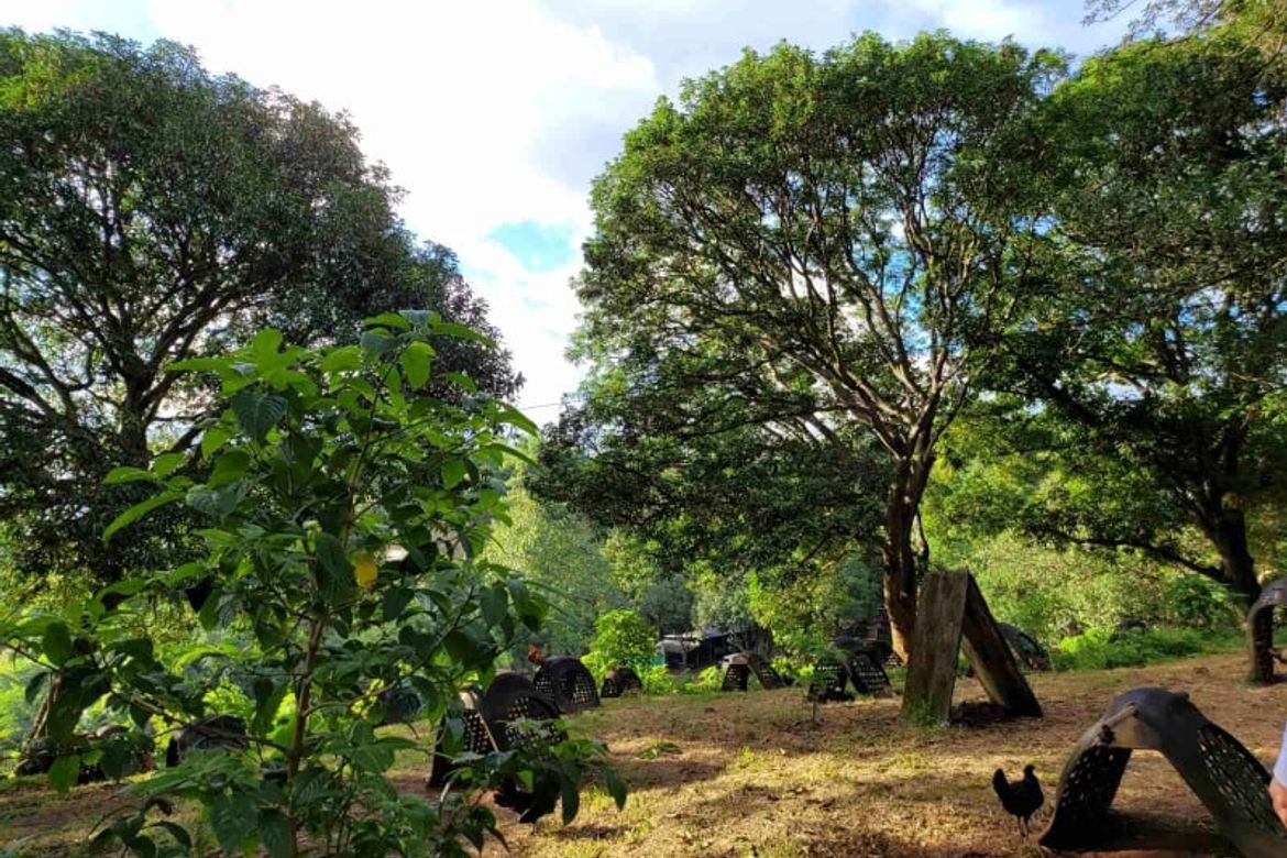 Land for Sale in Maybancal, Morong, Rizal