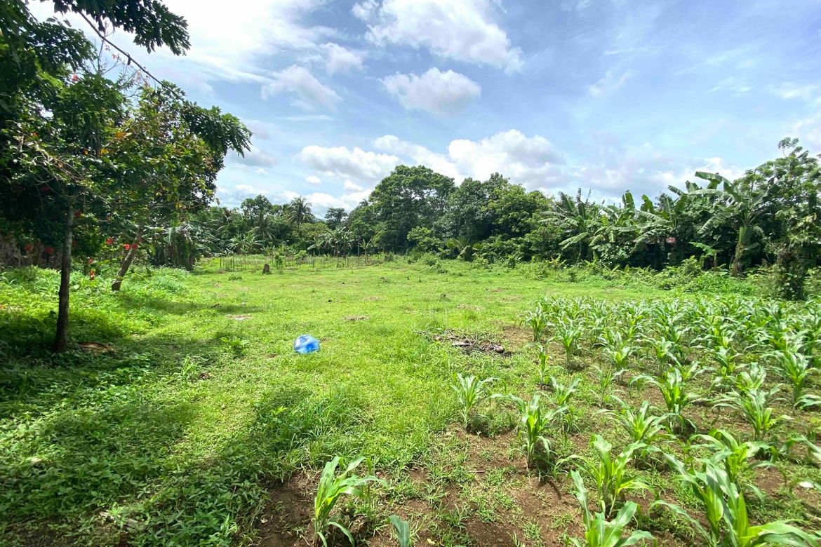 Land for Sale in Maymangga, Amadeo, Cavite