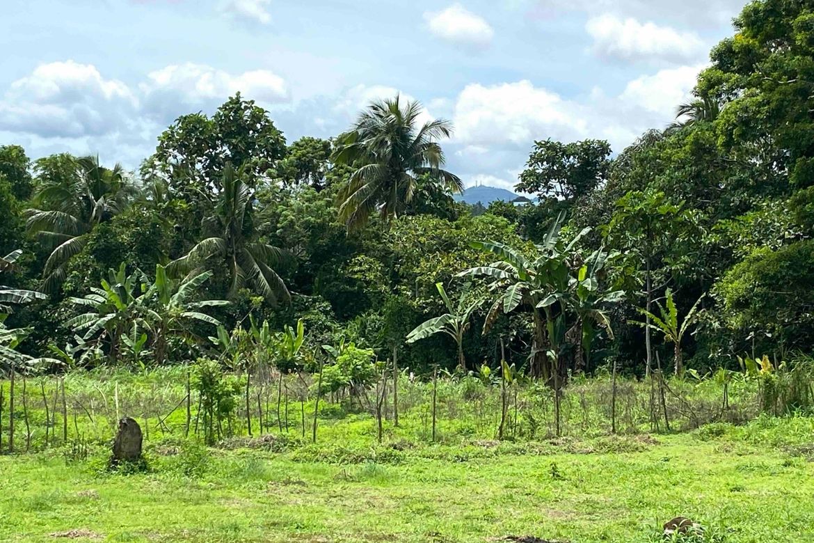 Land for Sale in Maymangga, Amadeo, Cavite – photo 3