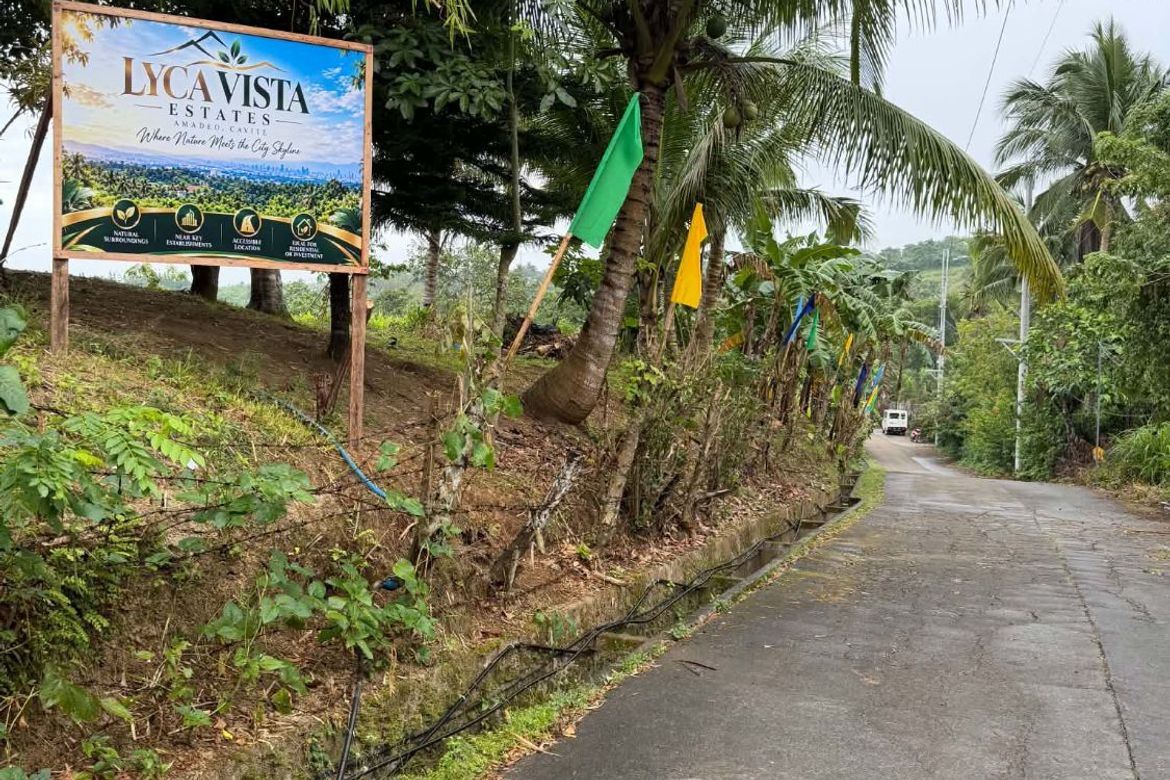 Land for Sale in Maymangga, Amadeo, Cavite – photo 7