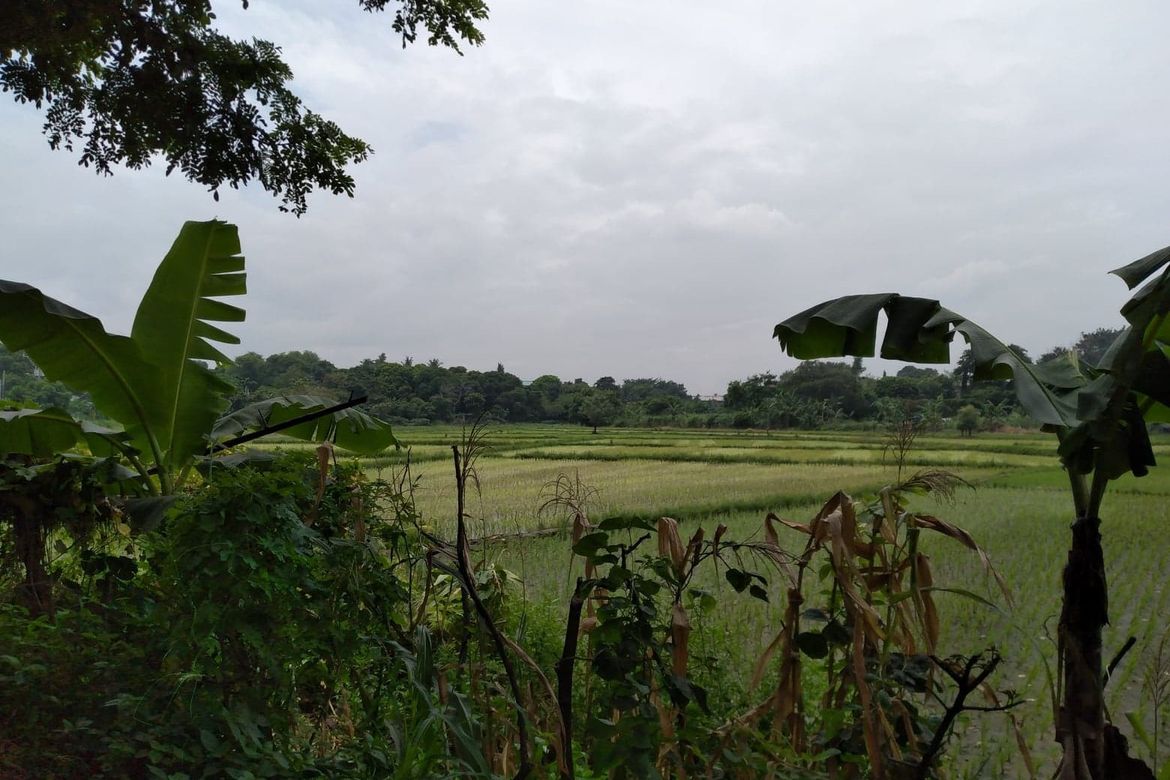 Land for Sale in Maysan, Valenzuela, Metro Manila – photo 2