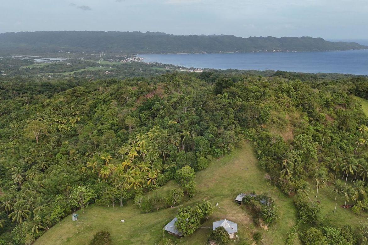 Land for Sale in Mayuga, Guindulman, Bohol – photo 8