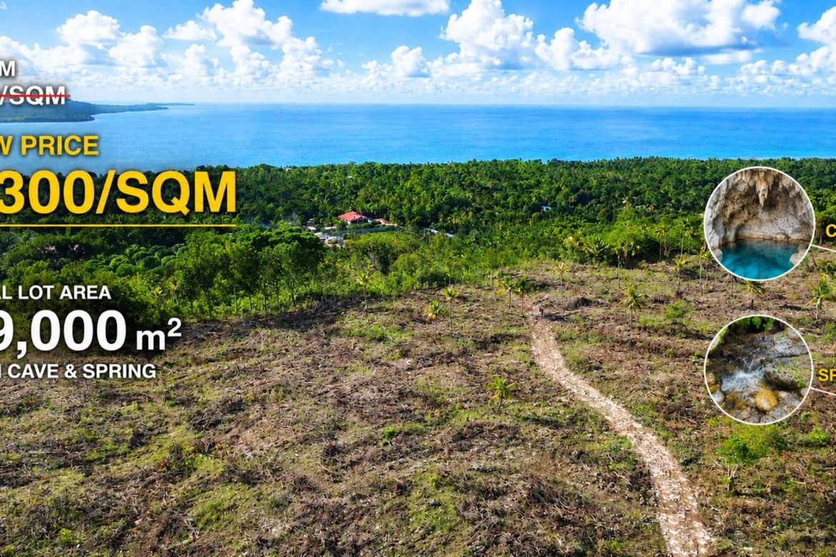 Land for Sale in Mercedes, Poro, Cebu