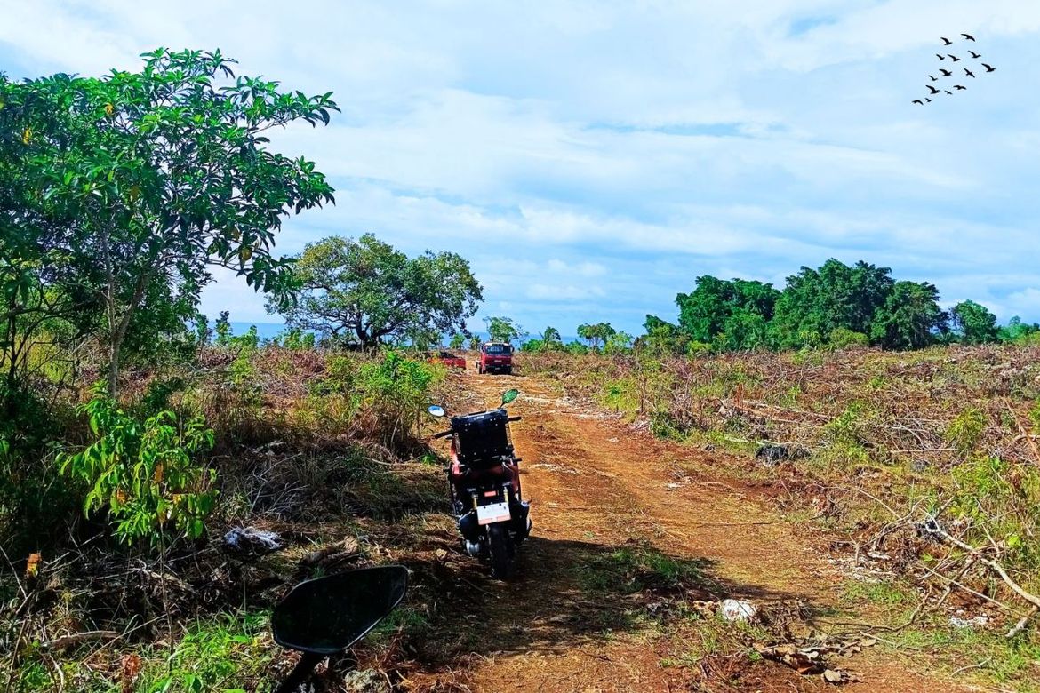 Land for Sale in Mercedes, Poro, Cebu – photo 2