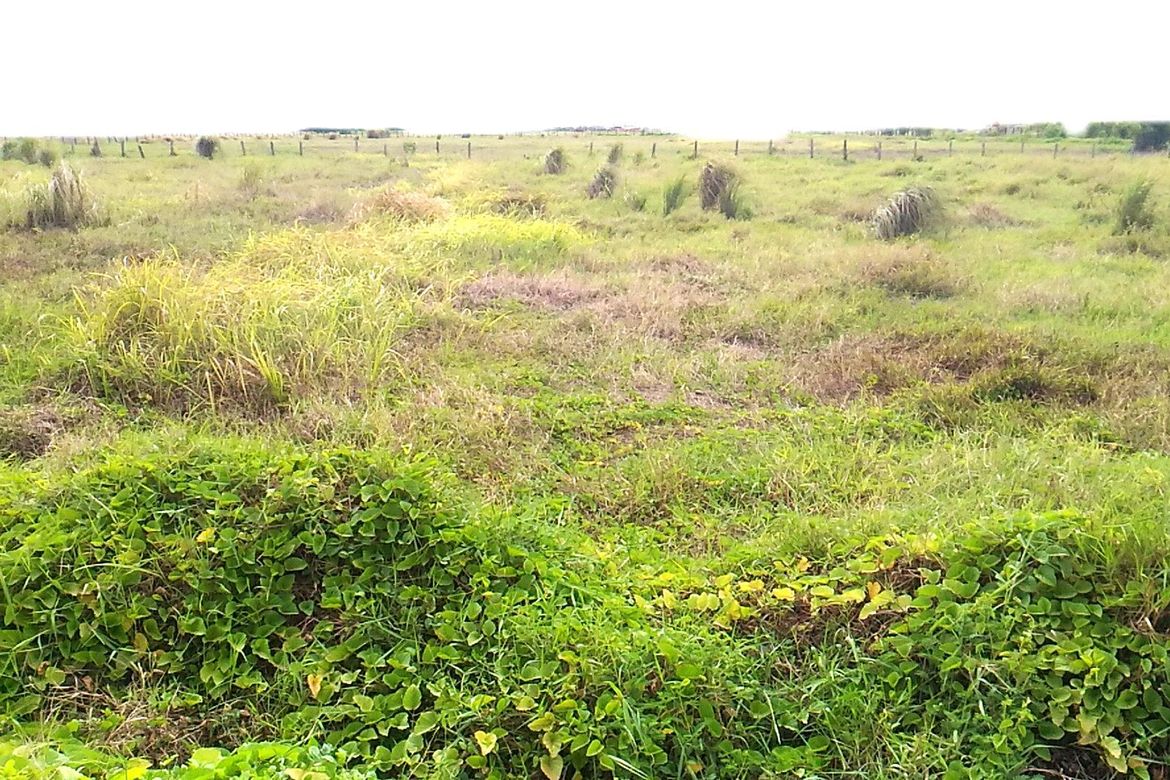 Land for Sale in Merville, Parañaque, Metro Manila