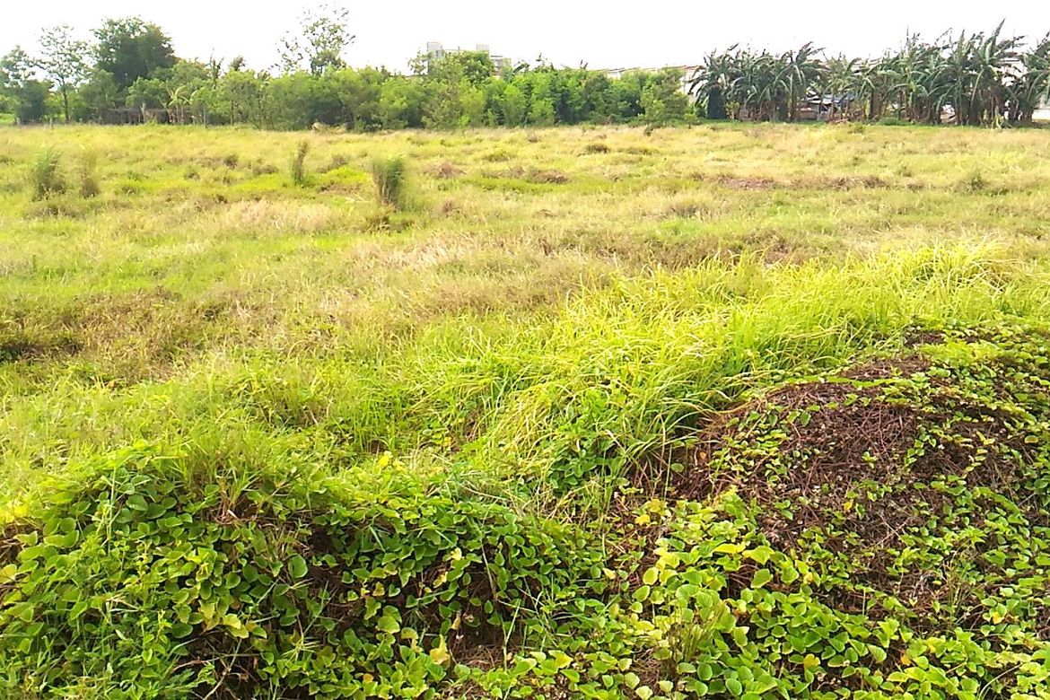 Land for Sale in Merville, Parañaque, Metro Manila – photo 3