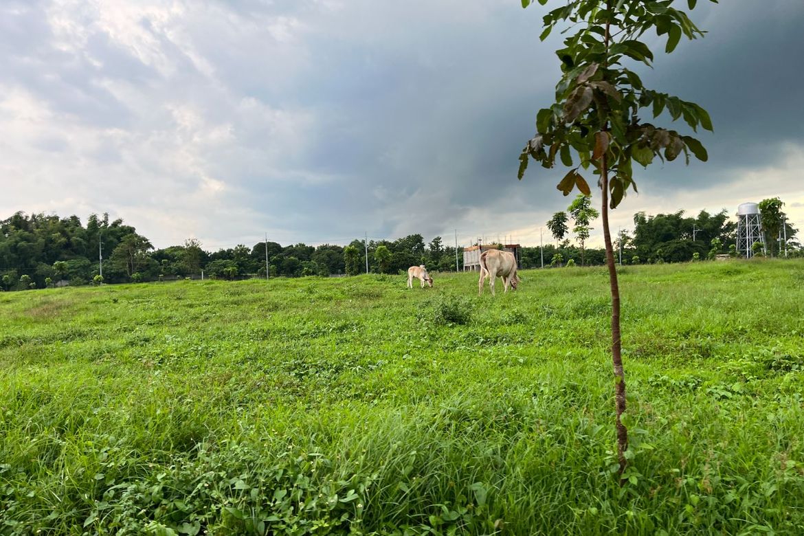 Land for Sale in MESILO, Sampaloc II, Dasmariñas, Cavite – photo 2