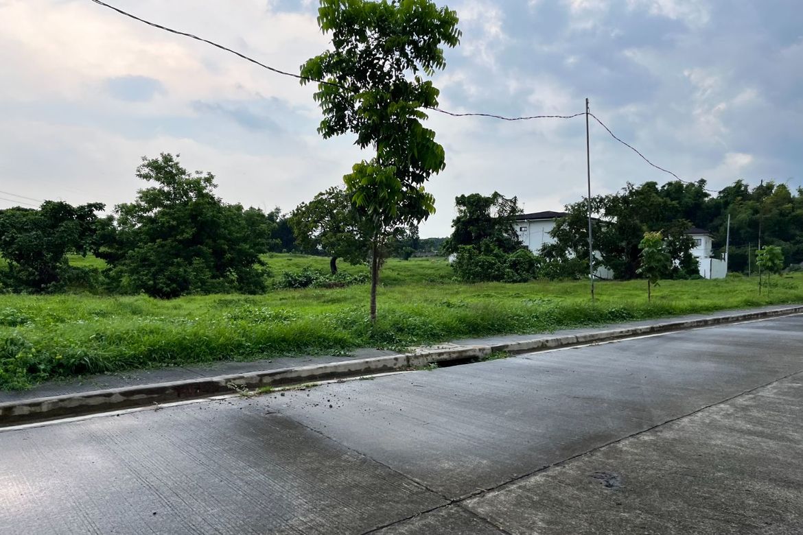 Land for Sale in MESILO, Sampaloc II, Dasmariñas, Cavite – photo 4