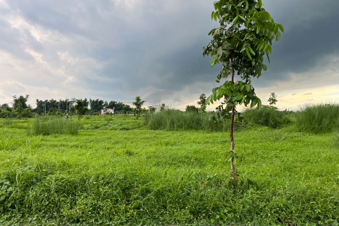 Land for Sale in MESILO, Sampaloc II, Dasmariñas, Cavite – photo 2