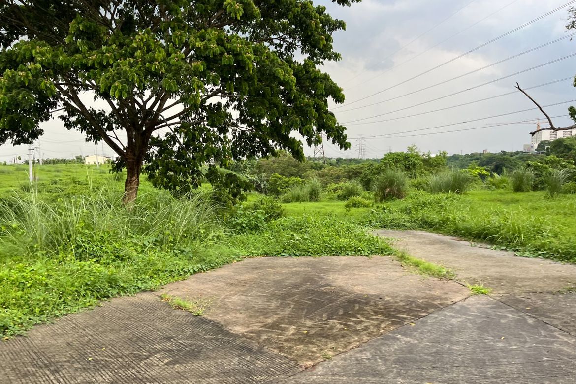 Land for Sale in MESILO, Sampaloc II, Dasmariñas, Cavite – photo 5