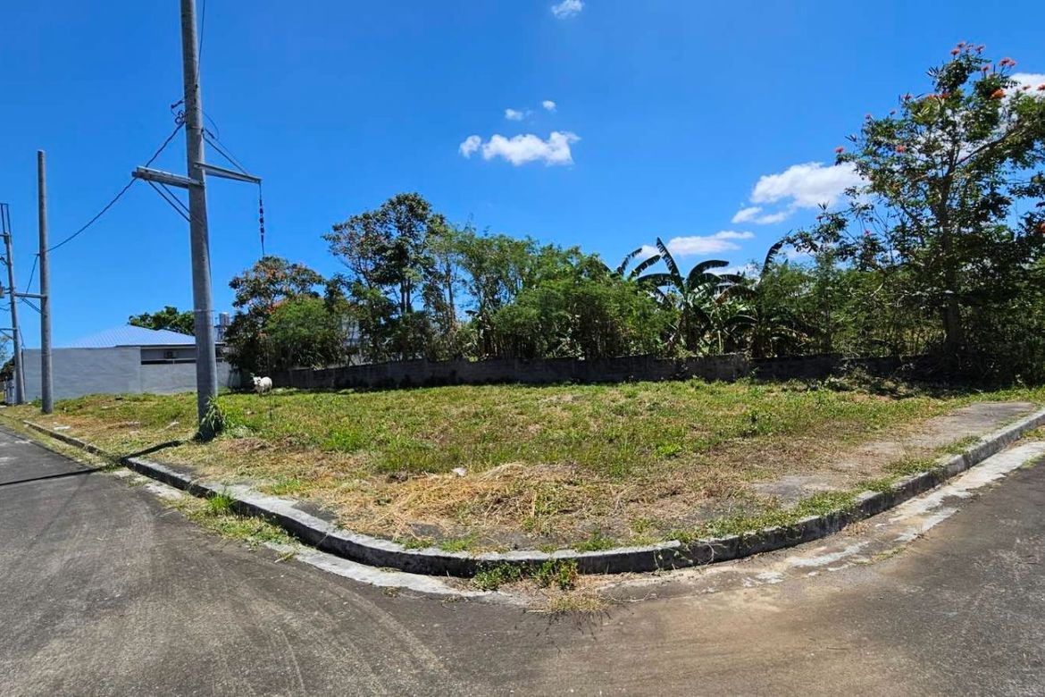 Land for Sale in Metro South Village, Panungyanan, General Trias, Cavite