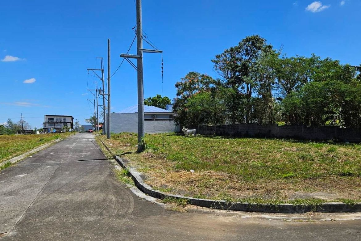 Land for Sale in Metro South Village, Panungyanan, General Trias, Cavite – photo 2