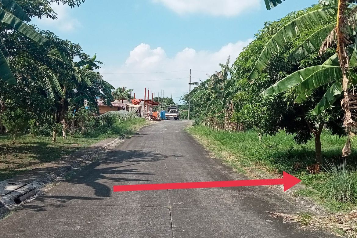 Land for Sale in Metrogate Dasmariñas, Amuyong, Alfonso, Cavite
