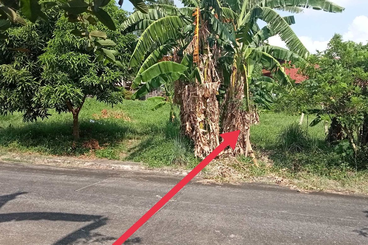 Land for Sale in Metrogate Dasmariñas, Amuyong, Alfonso, Cavite – photo 2