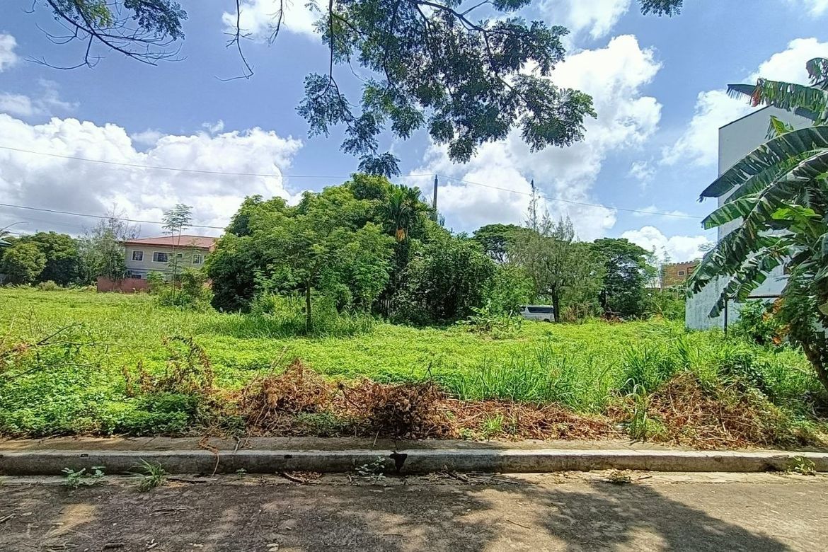Land for Sale in Metropolis Greens, Amuyong, Alfonso, Cavite – photo 4