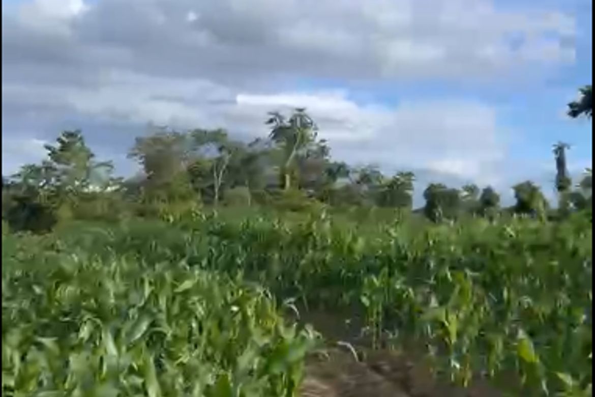 Land for Sale in Miglamin, Malaybalay, Bukidnon