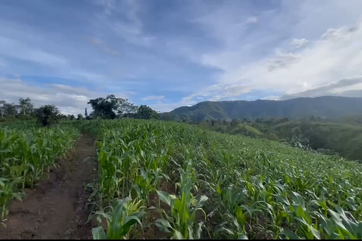 Land for Sale in Miglamin, Malaybalay, Bukidnon – photo 6