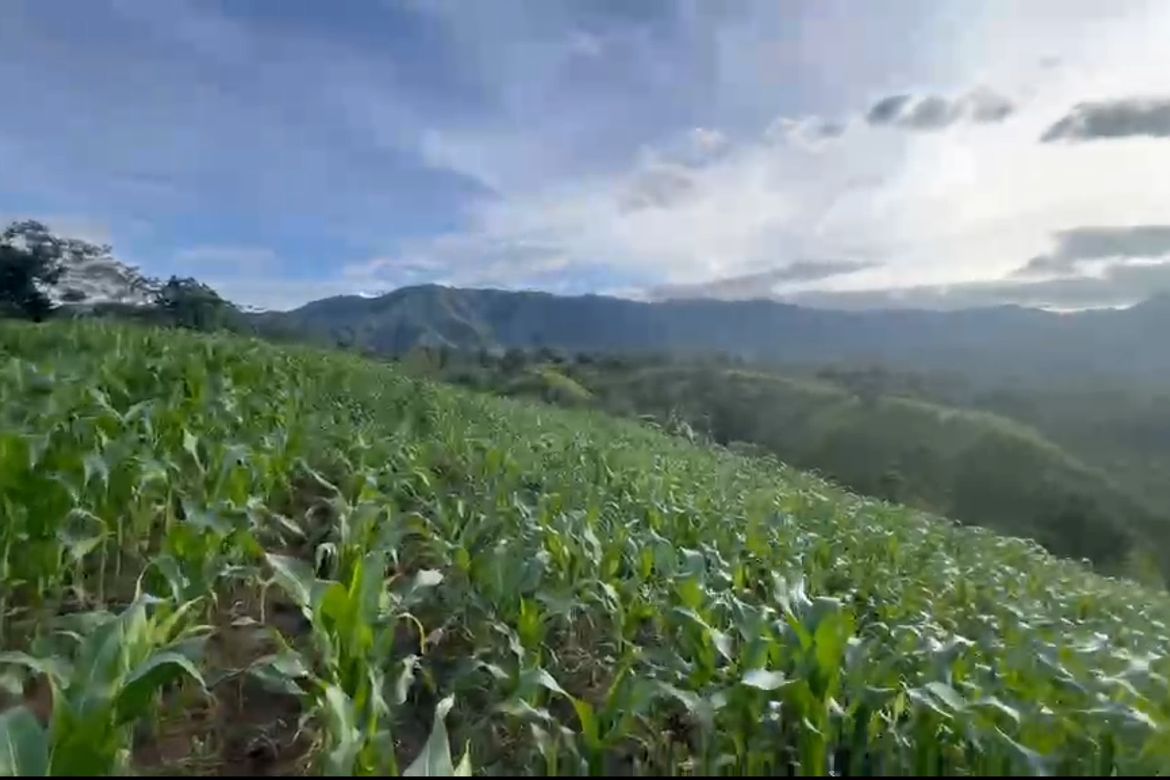 Land for Sale in Miglamin, Malaybalay, Bukidnon – photo 8