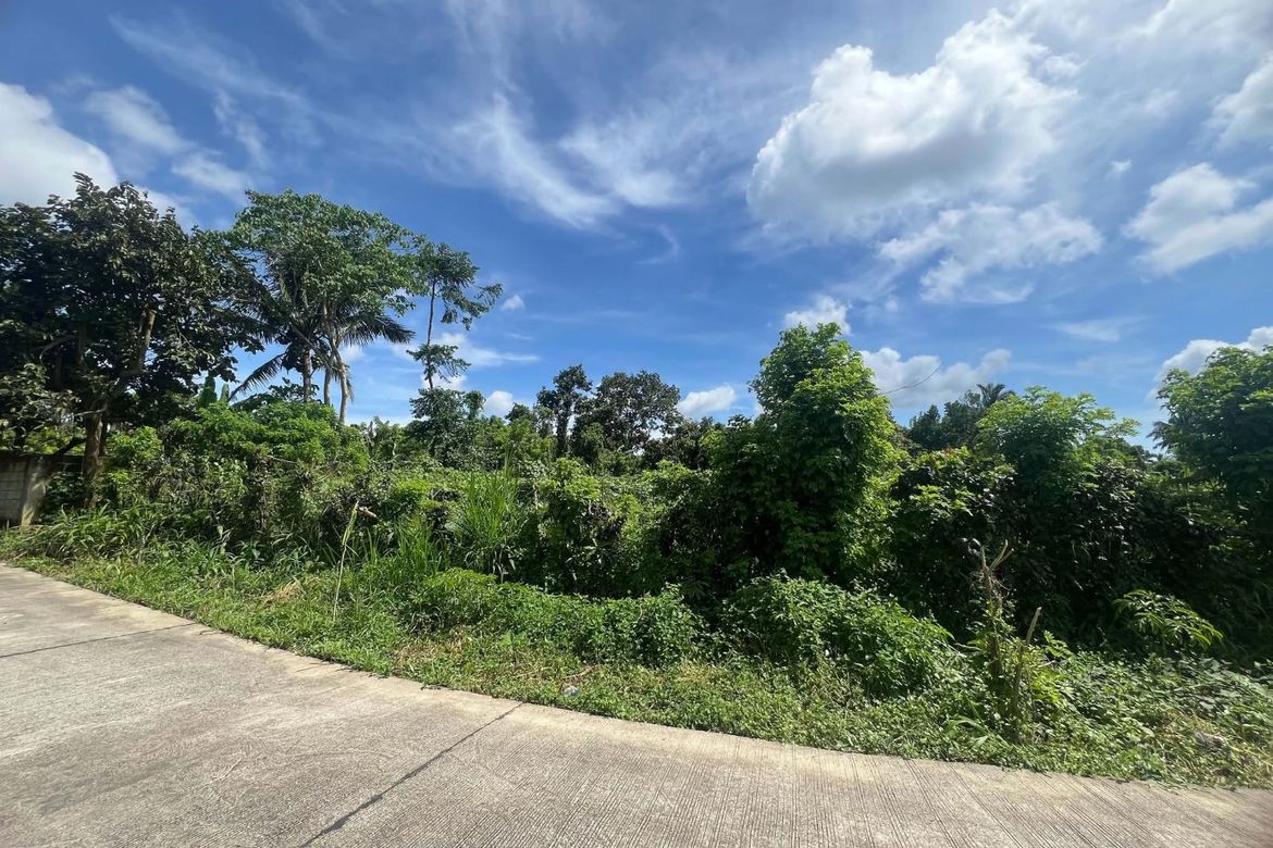 Land for Sale in Miguel Mojica, Mendez, Cavite – photo 5