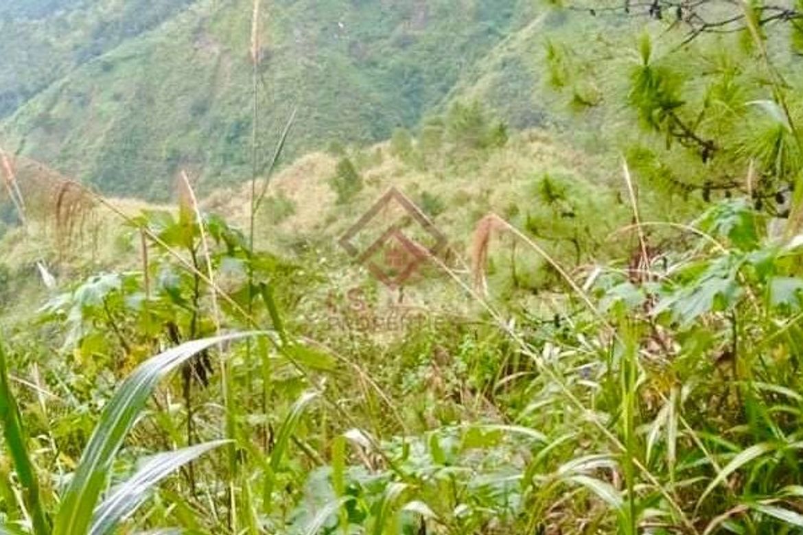 Land for Sale in Military Cut-Off, Baguio, Benguet – photo 4