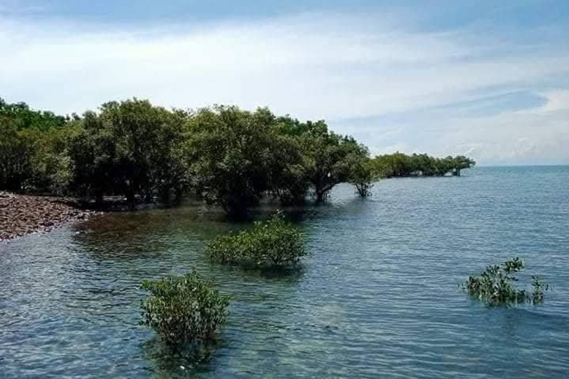 Land for Sale in Millan, Sibunag, Guimaras – photo 3
