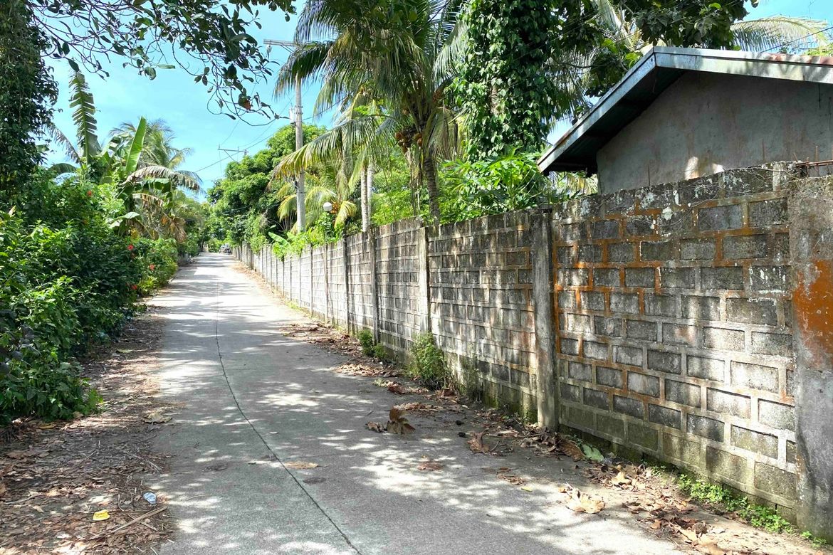 Land for Sale in Minantok Kanluran, Amadeo, Cavite – photo 4