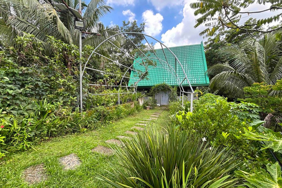 Land for Sale in Minantok Kanluran, Amadeo, Cavite – photo 4