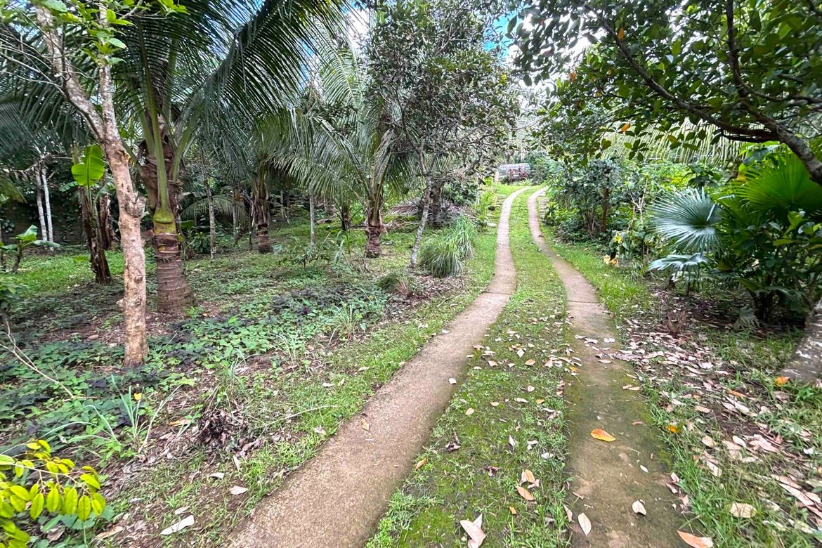 Land for Sale in Minantok Kanluran, Amadeo, Cavite – photo 5