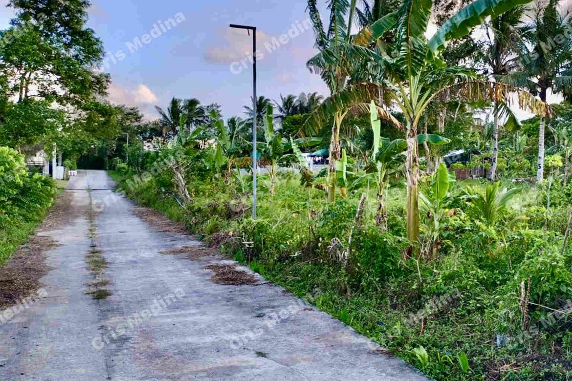 Land for Sale in Minantok Silangan, Amadeo, Cavite – photo 2