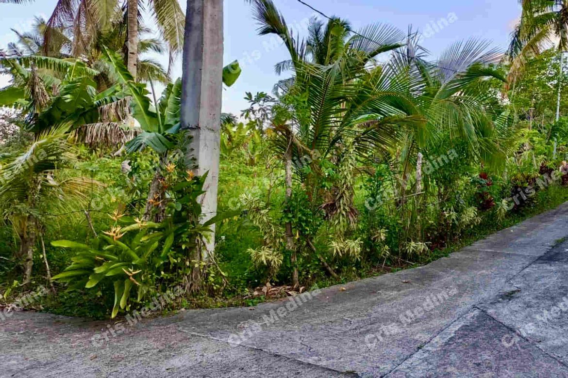 Land for Sale in Minantok Silangan, Amadeo, Cavite – photo 3