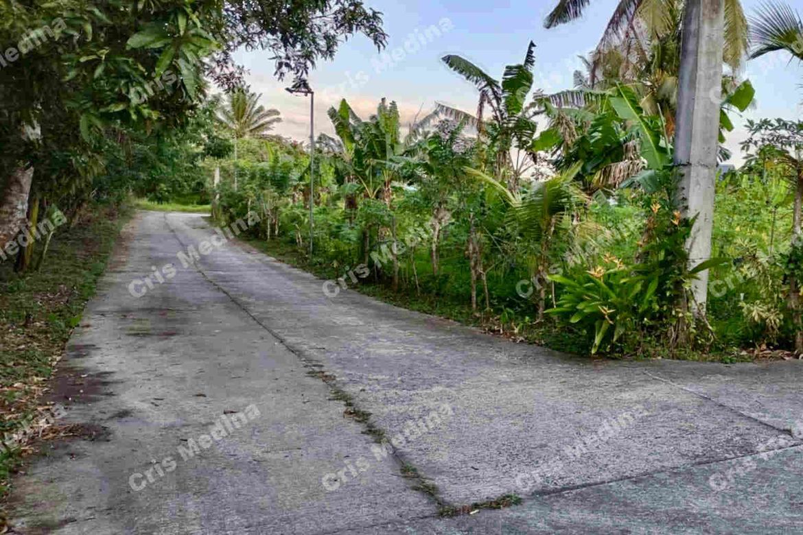 Land for Sale in Minantok Silangan, Amadeo, Cavite – photo 4