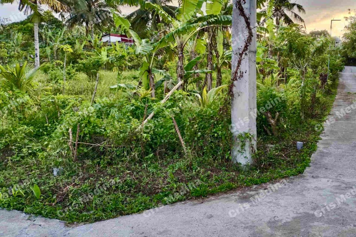 Land for Sale in Minantok Silangan, Amadeo, Cavite – photo 5