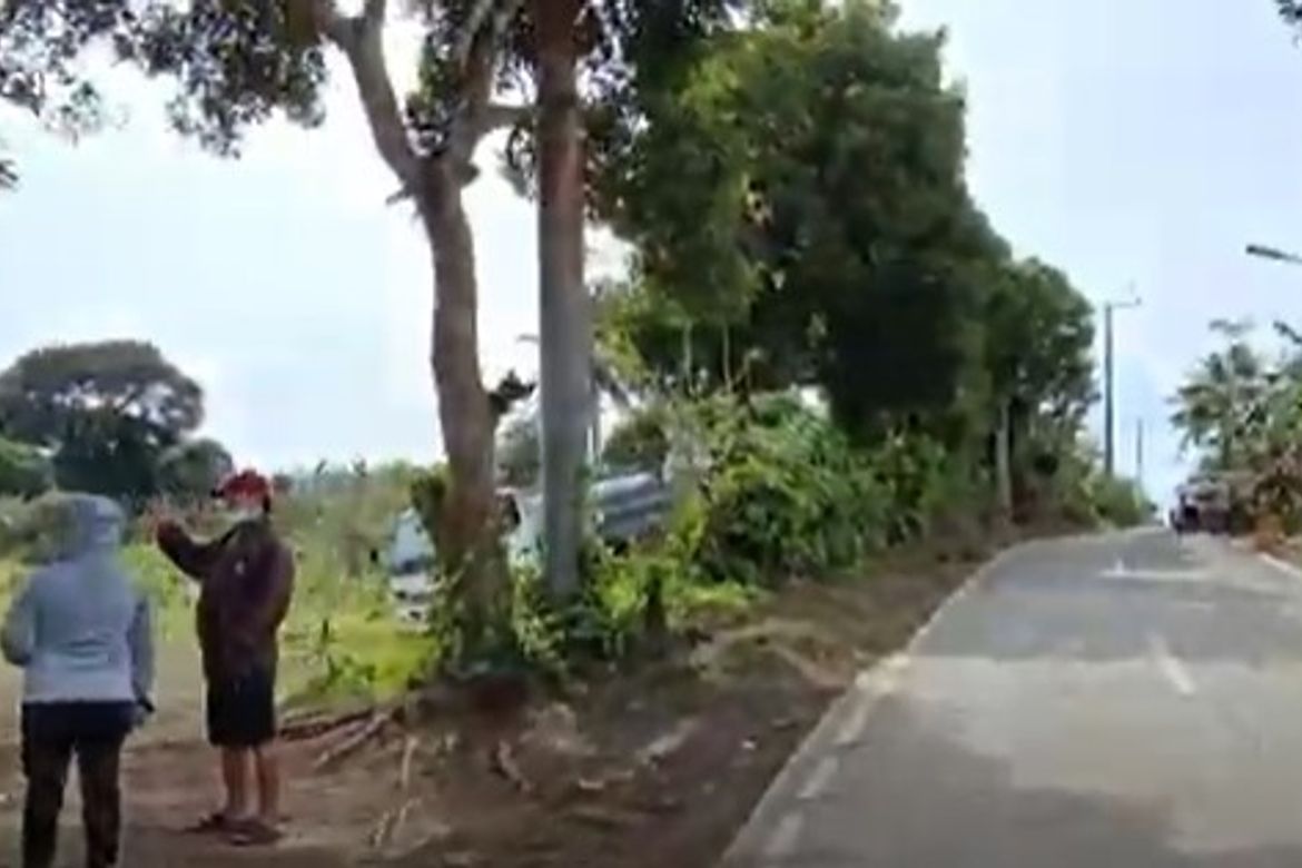 Land for Sale in Minantok Silangan, Amadeo, Cavite – photo 8