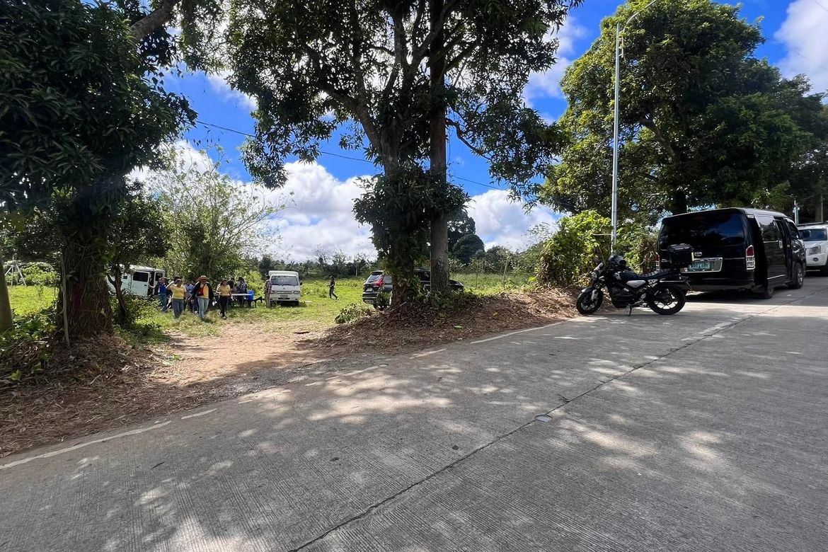 Land for Sale in Minantok Silangan, Amadeo, Cavite – photo 2