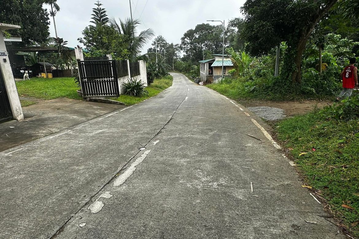 Land for Sale in Minantok Silangan, Amadeo, Cavite – photo 3