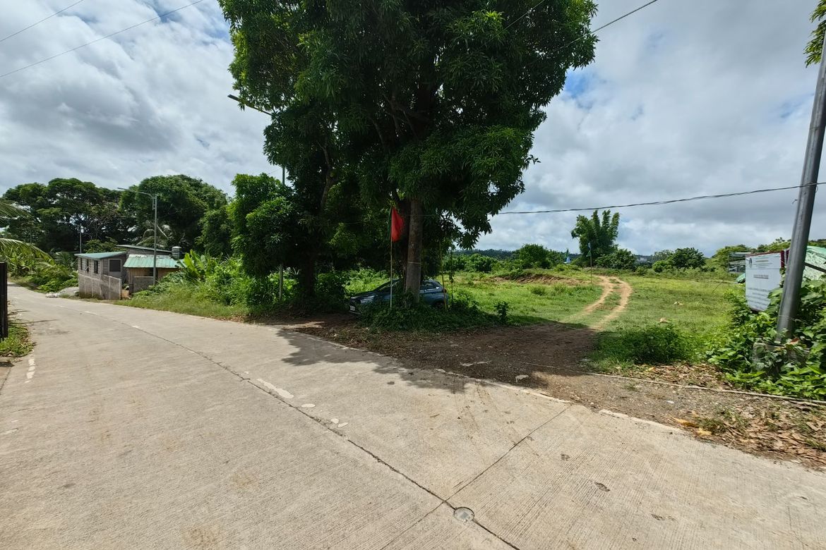 Land for Sale in Minantok Silangan, Amadeo, Cavite