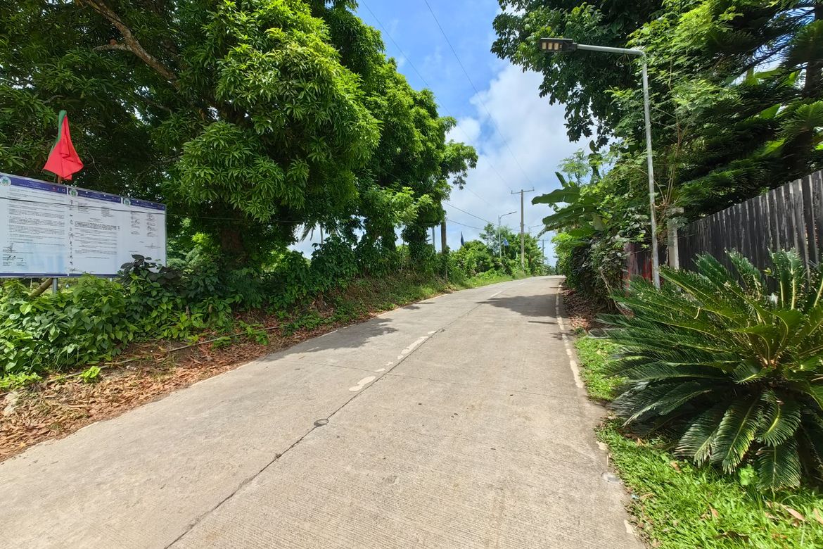 Land for Sale in Minantok Silangan, Amadeo, Cavite – photo 2