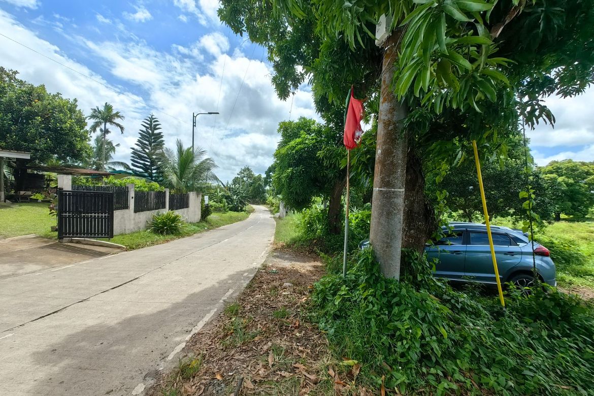 Land for Sale in Minantok Silangan, Amadeo, Cavite – photo 3