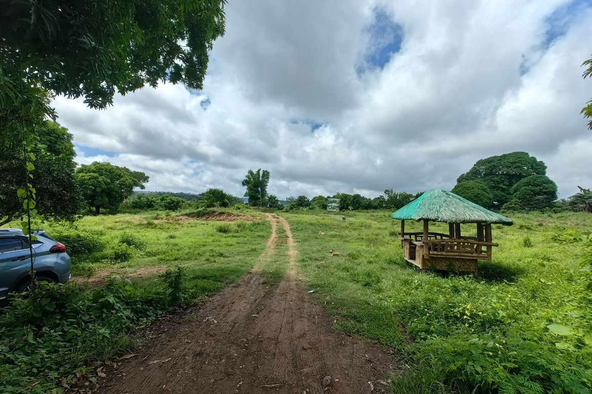 Land for Sale in Minantok Silangan, Amadeo, Cavite – photo 4