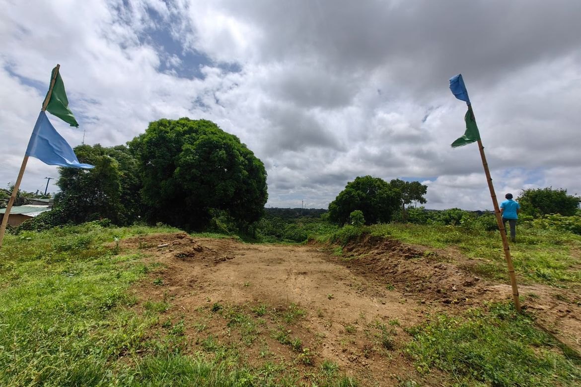 Land for Sale in Minantok Silangan, Amadeo, Cavite – photo 5