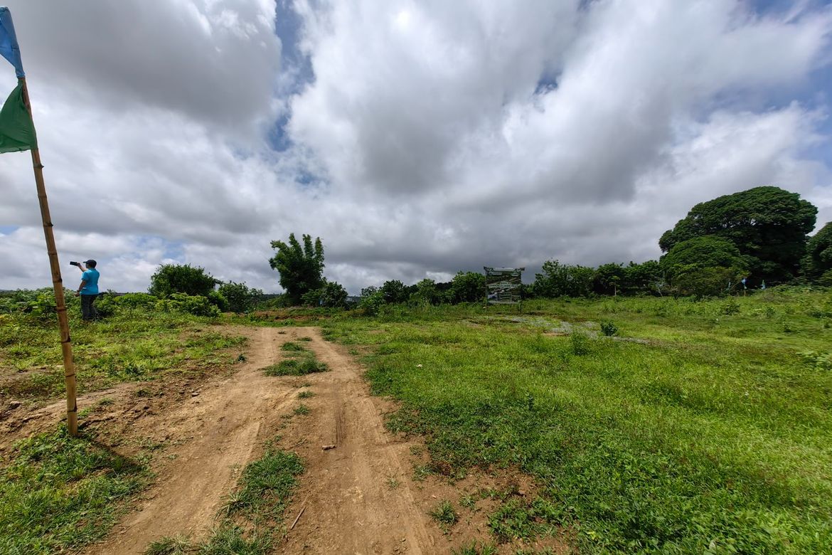 Land for Sale in Minantok Silangan, Amadeo, Cavite – photo 6