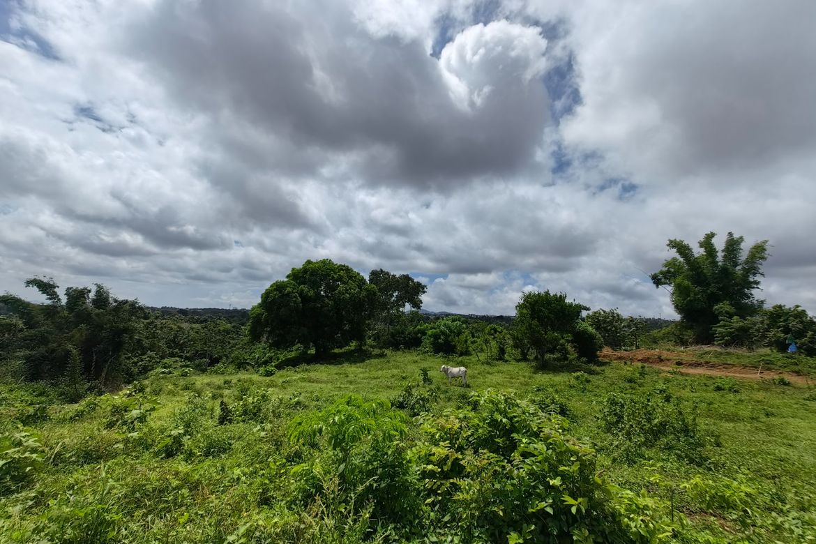 Land for Sale in Minantok Silangan, Amadeo, Cavite – photo 7