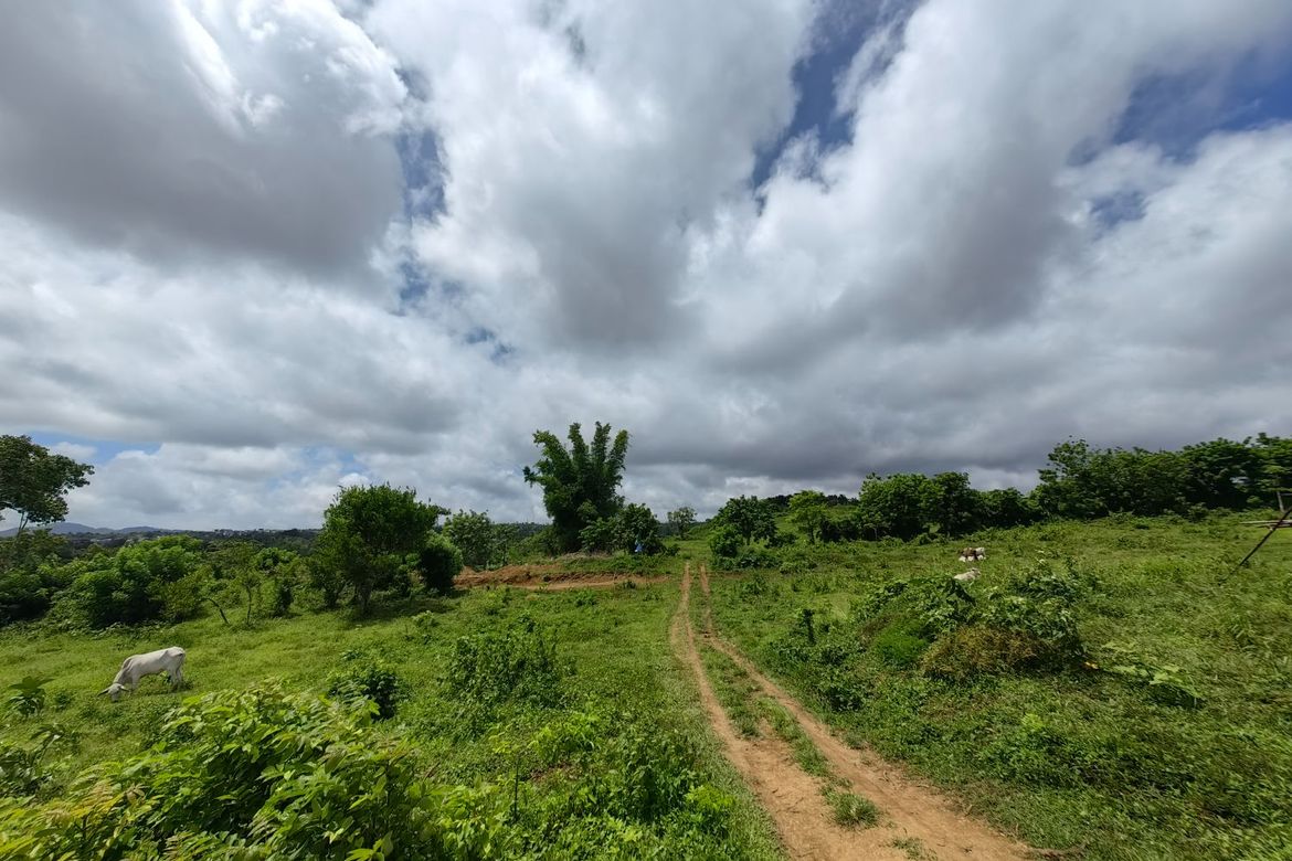 Land for Sale in Minantok Silangan, Amadeo, Cavite – photo 8
