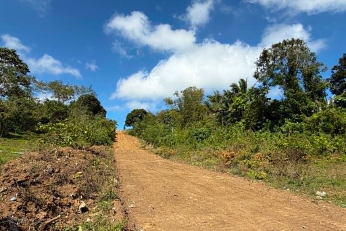 Land for Sale in Minantok Silangan, Amadeo, Cavite – photo 2