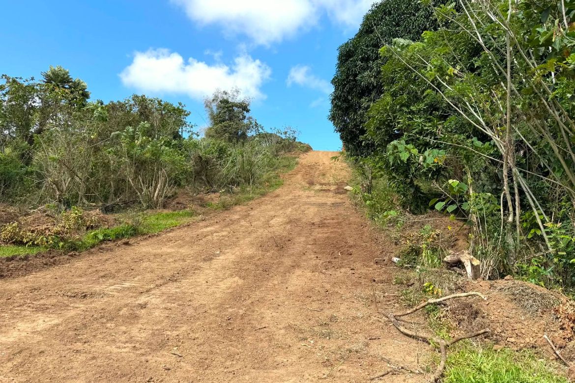 Land for Sale in Minantok Silangan, Amadeo, Cavite – photo 3