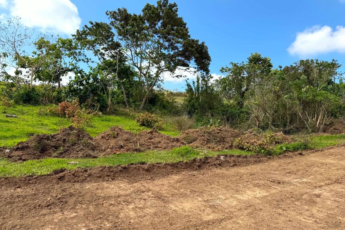 Land for Sale in Minantok Silangan, Amadeo, Cavite – photo 4