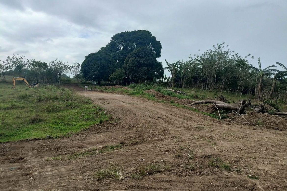 Land for Sale in Minantok Silangan, Amadeo, Cavite – photo 6